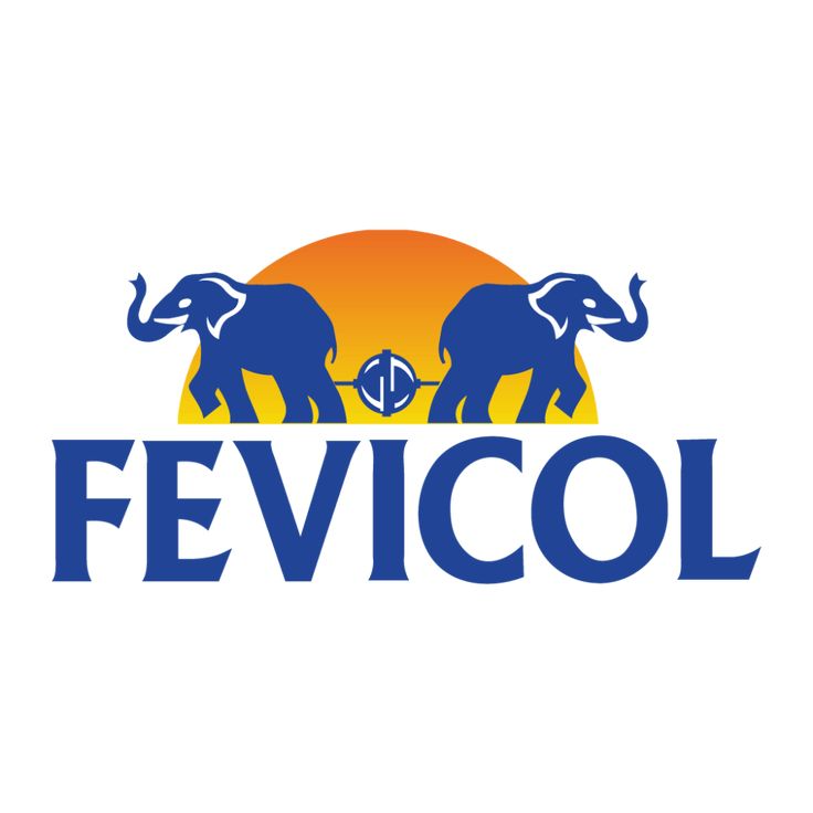 Fevicol